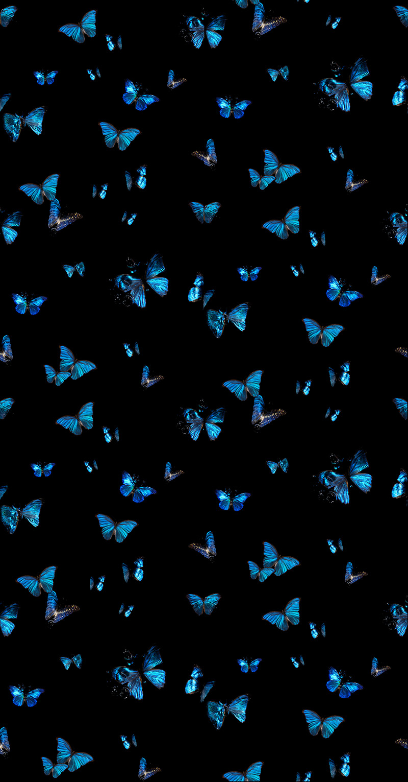 Capturing rare Morpho blue butterflies underwater in a unique collection of artworks