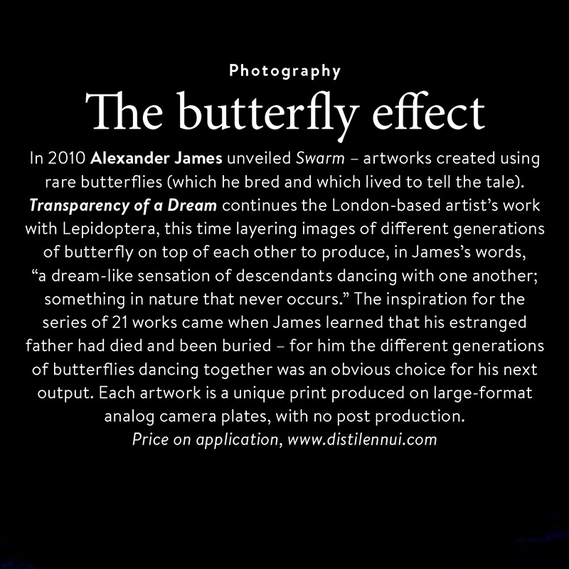 The butterfly effect - article in Christies Magazine as I dance underwater with butterflies