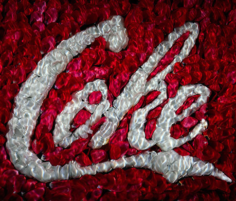 the impact Coca Cola Company has on the planet in carbon footprint and plastic pollution in global oceans.