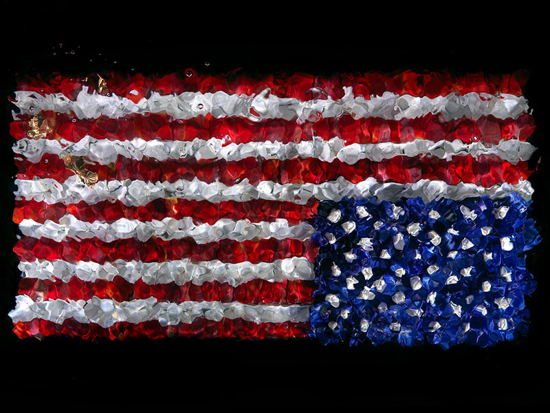 AS AMERICA DECIDES. I explore the American Stars and Stripes Flag by making it from flower petals.