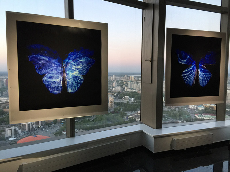 Exhibition of unique underwater works on paper at the 'sky room' of Iset Tower Yekaterinburg, Russia