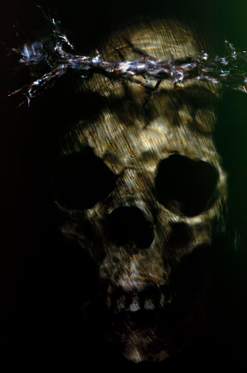 underwater under water human skull captured by artist alexander james hamilton