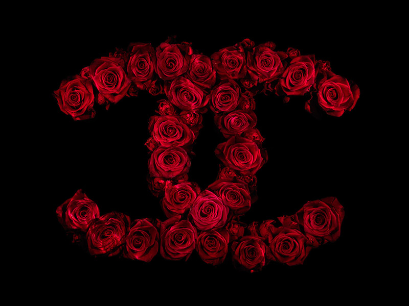 all icons are false chanel logu underwater in red roses