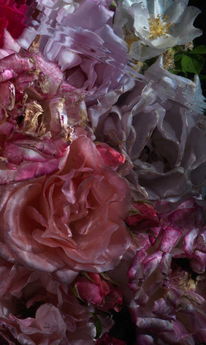 underwater vanitas photography