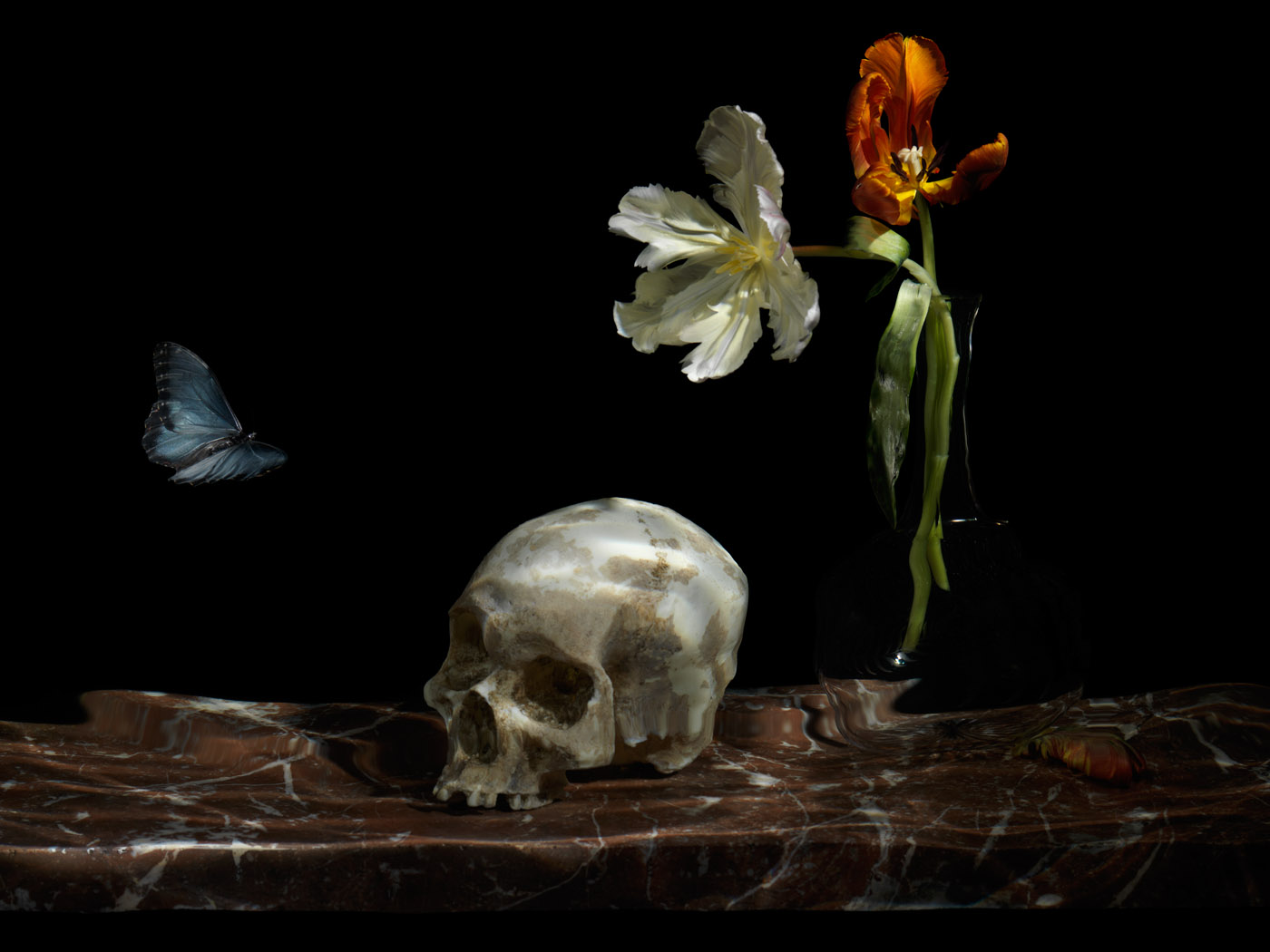 the great leveller vanitas painting created using photograph of the subject underwater