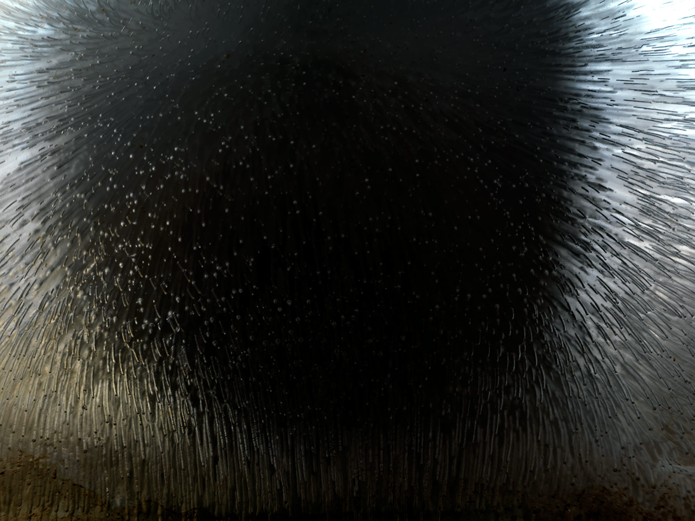 dark matter