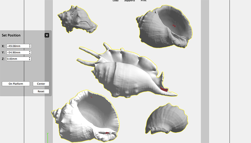 complex hermit crab shell 3d laser scans