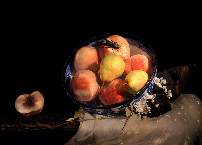Emperors truth - underwater still life photograph  bowl of fruit & hemlock dated 2010.