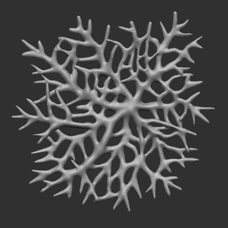 sea coral created in 3d modelling 