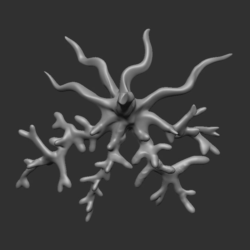 sea coral design in 3d modelling