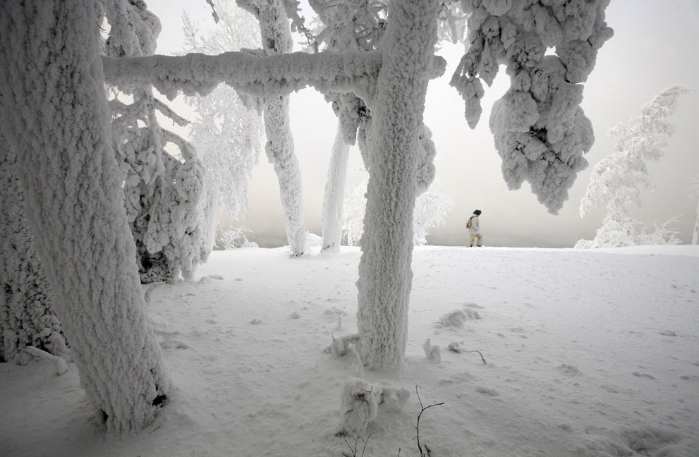 artist creates & installs sculptures in the forests of Siberia during a harsh winter from oil and water